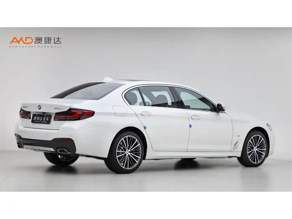 BMW 5 Series 2024 из CN, фото 4