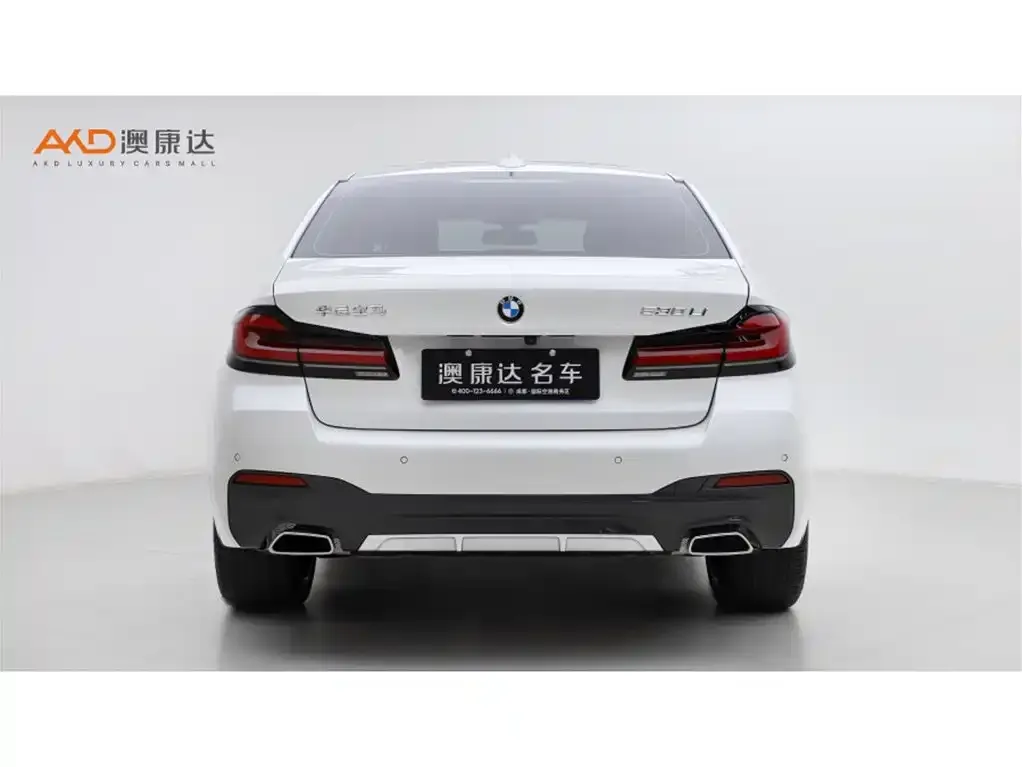 BMW 5 Series 2024 из CN, фото 2