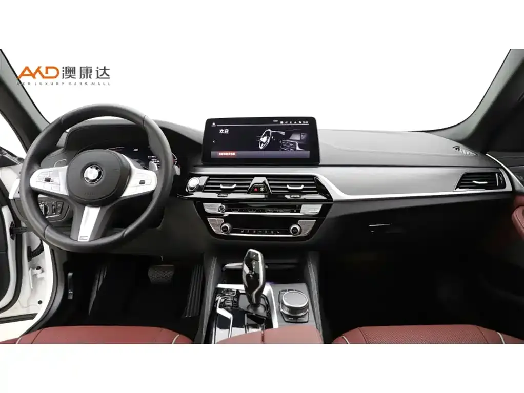 BMW 5 Series 2024 из CN, фото 5