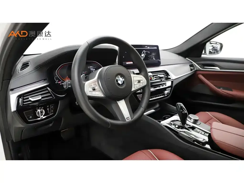 BMW 5 Series 2024 из CN, фото 7
