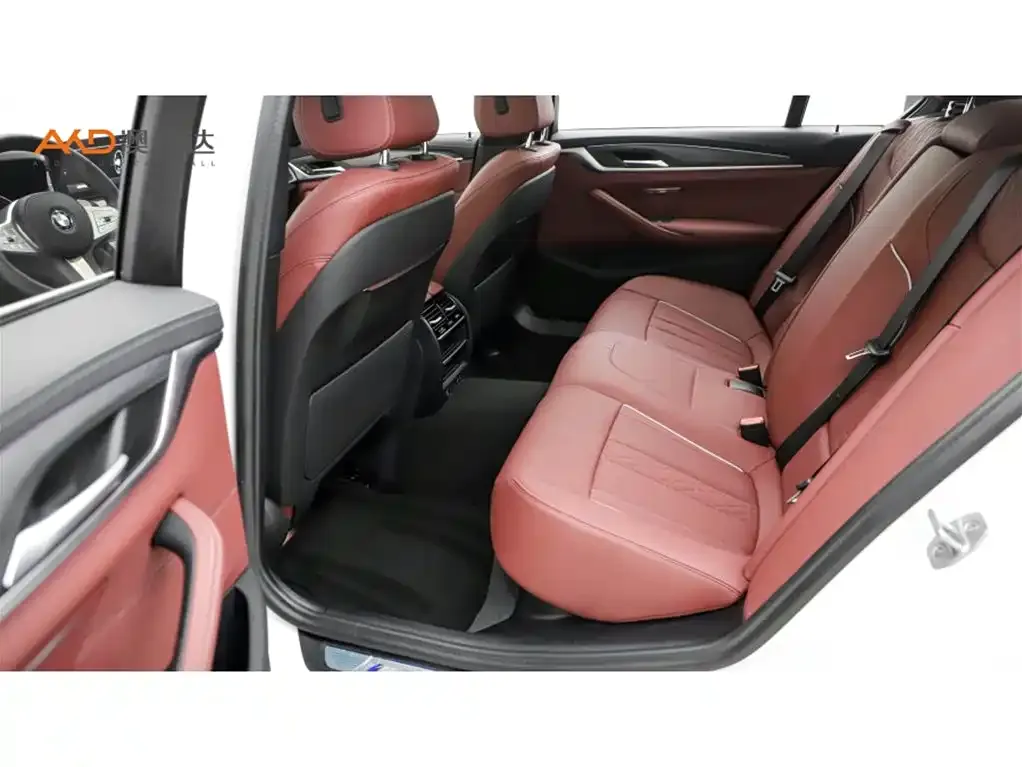 BMW 5 Series 2024 из CN, фото 6