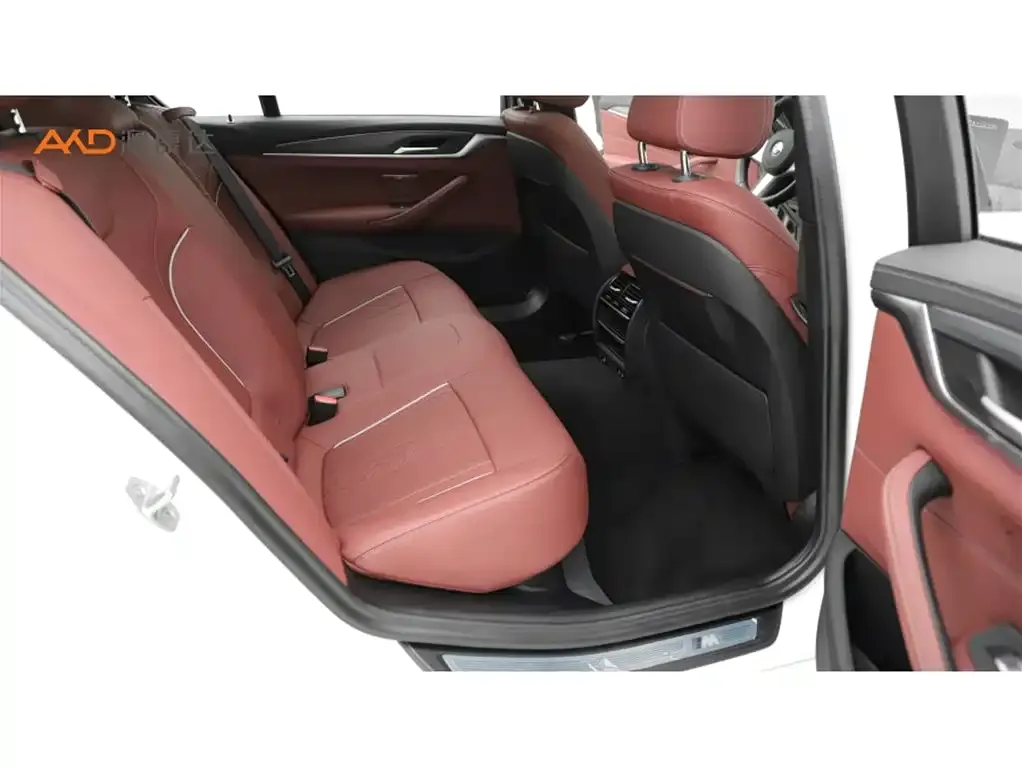 BMW 5 Series 2024 из CN, фото 8