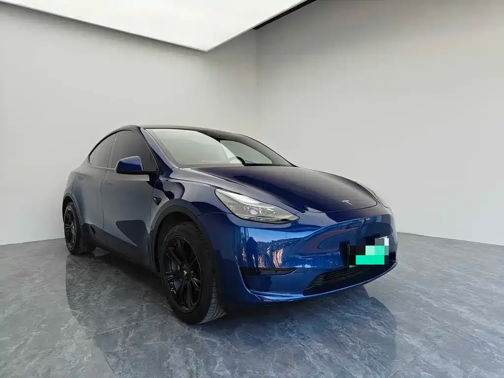 Tesla Model Y 2023 из CN, фото 2