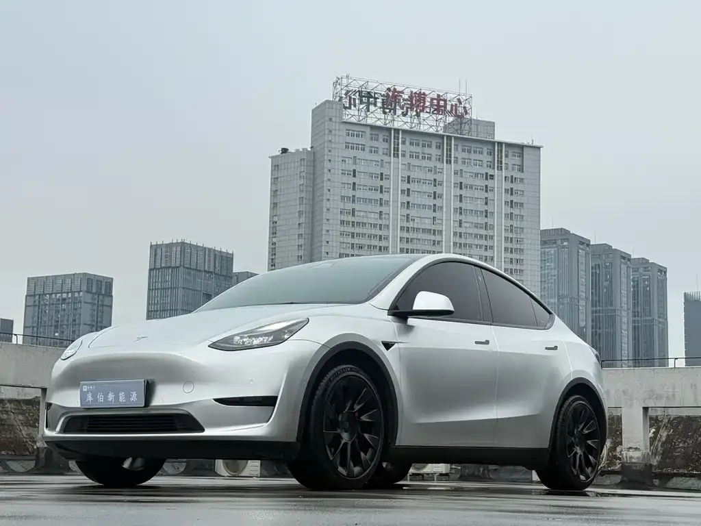Tesla Model Y 2022 из CN, фото 1