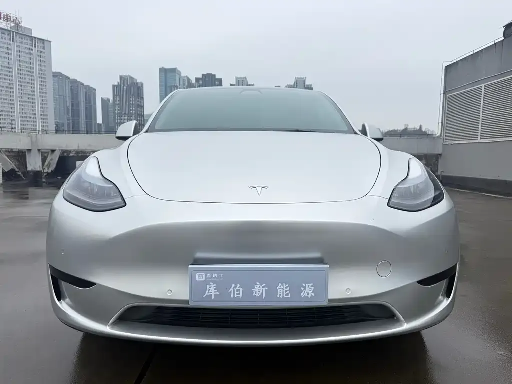 Tesla Model Y 2022 из CN, фото 7