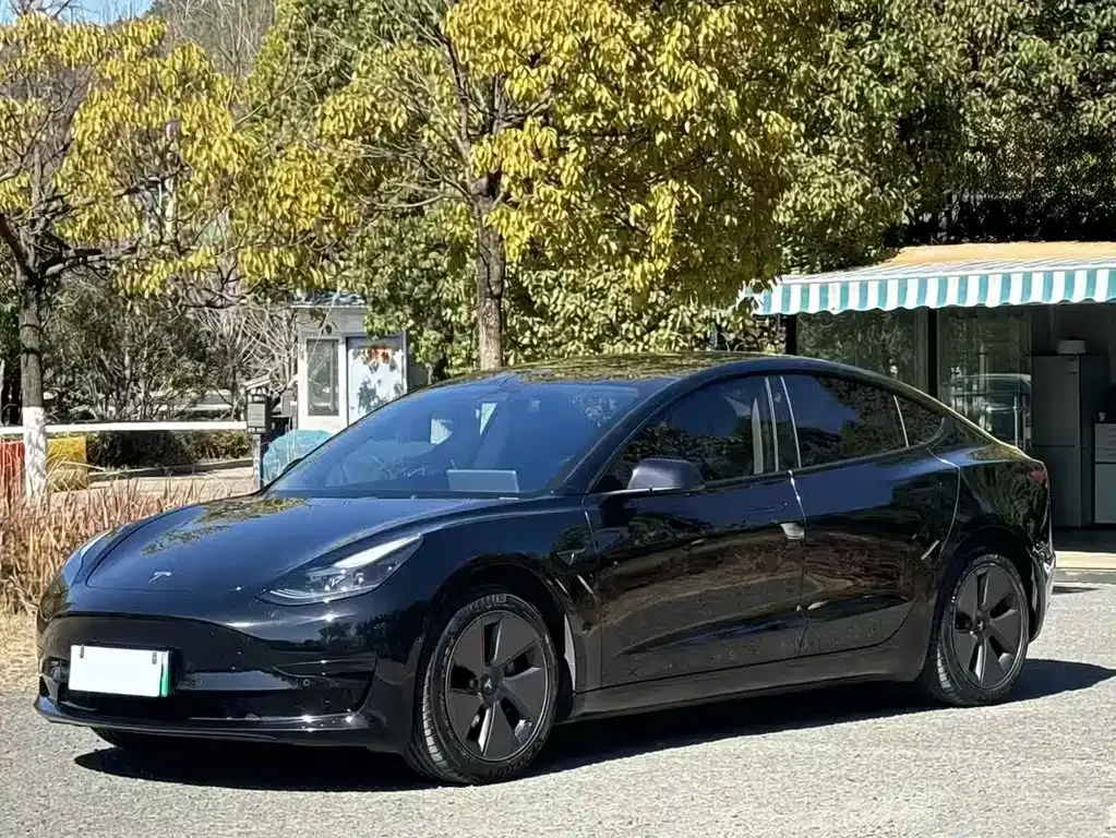 Tesla Model 3 2023 из CN, фото 1