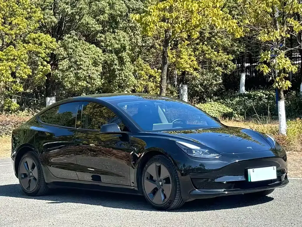 Tesla Model 3 2023 из CN, фото 9