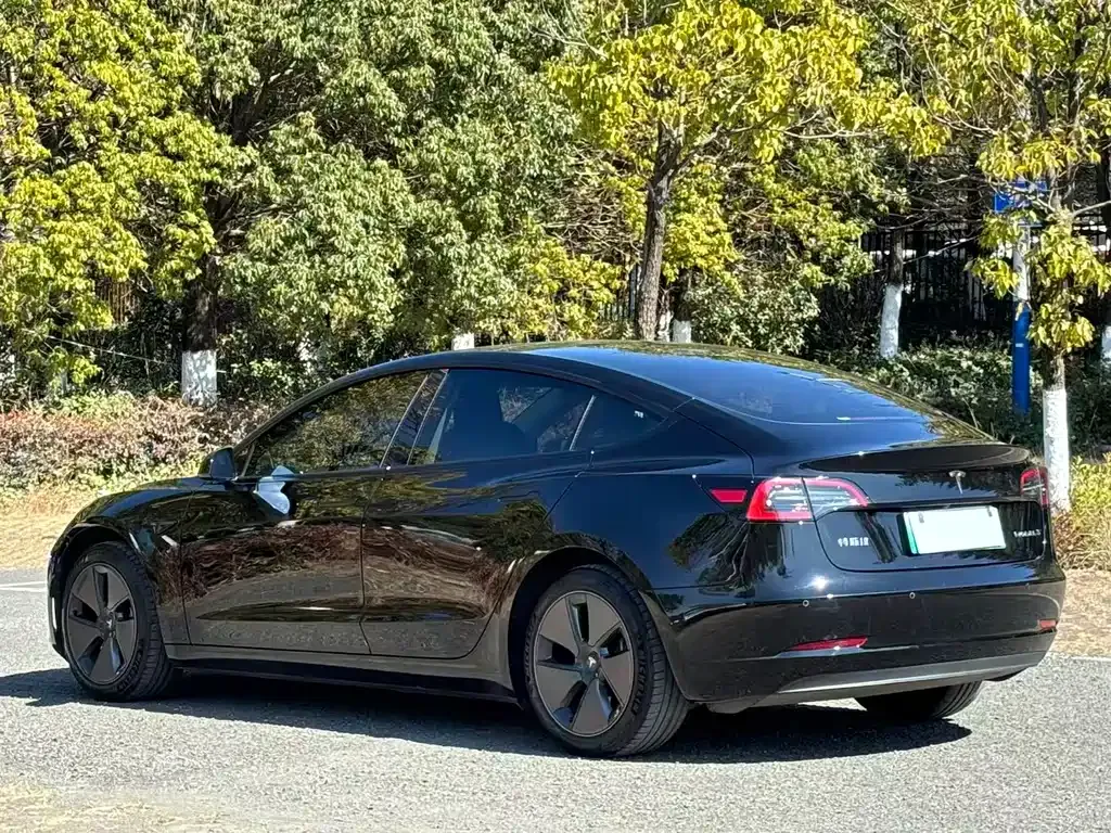 Tesla Model 3 2023 из CN, фото 8