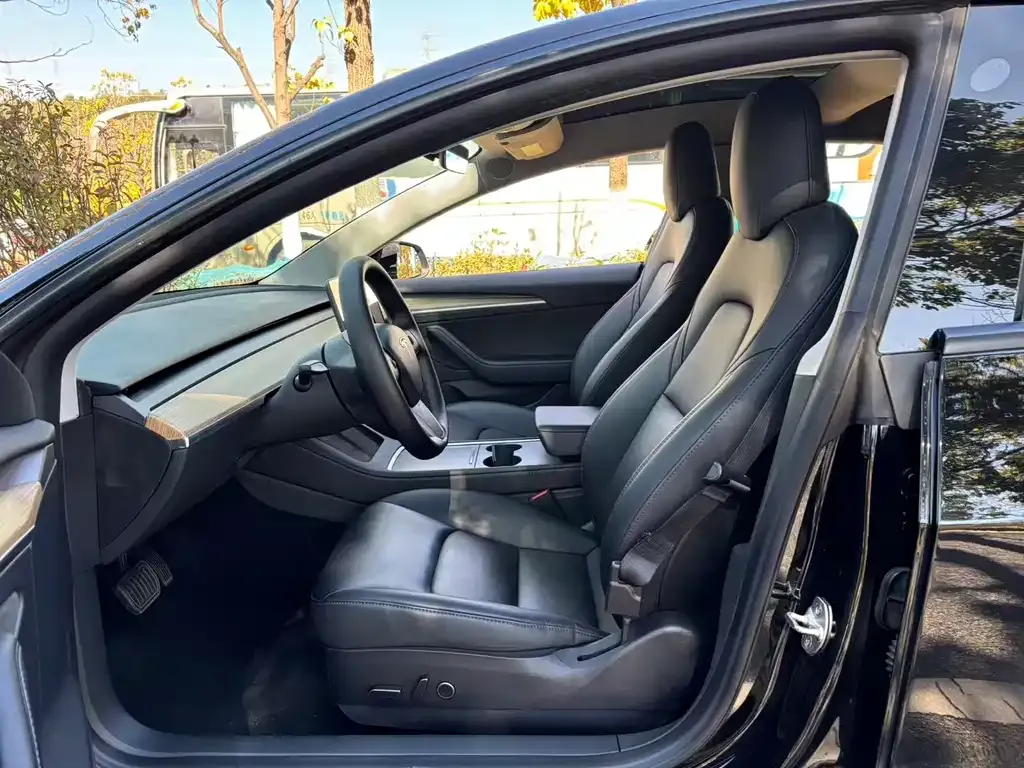 Tesla Model 3 2023 из CN, фото 3