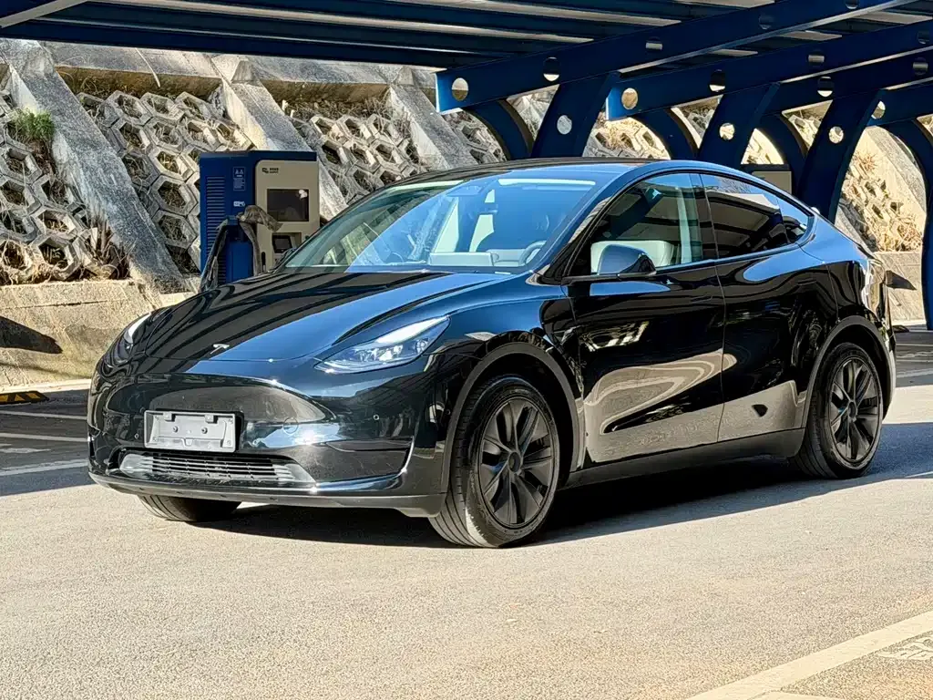 Tesla Model Y 2023 из CN, фото 1