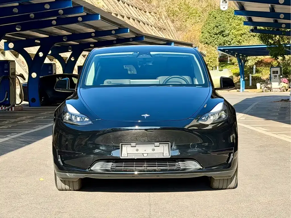 Tesla Model Y 2023 из CN, фото 9