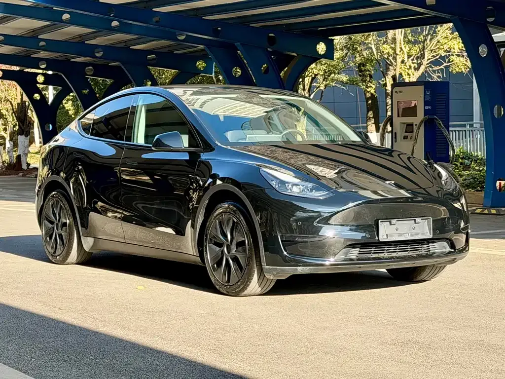 Tesla Model Y 2023 из CN, фото 10