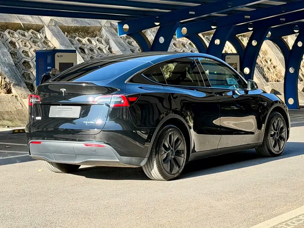 Tesla Model Y 2023 из CN, фото 8