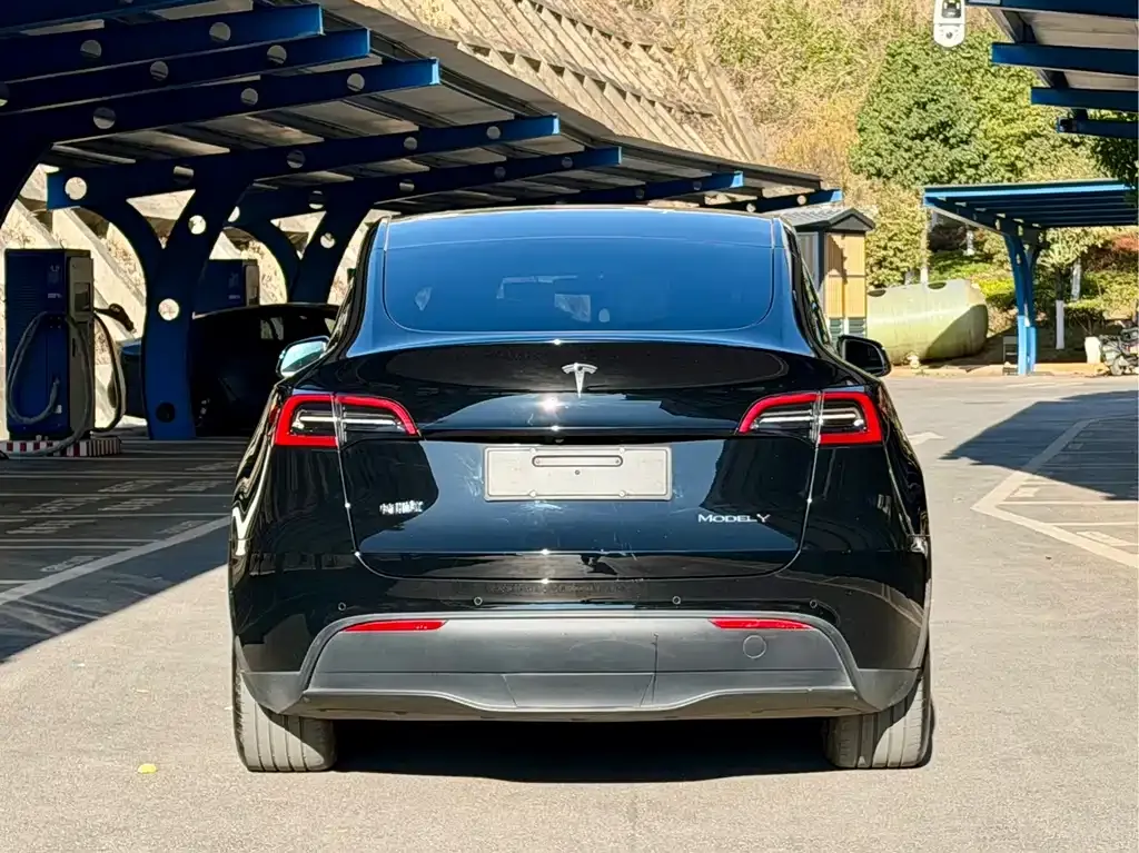Tesla Model Y 2023 из CN, фото 5