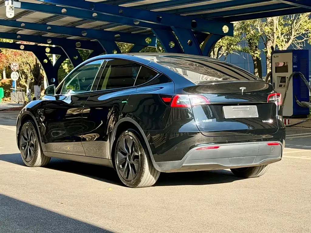 Tesla Model Y 2023 из CN, фото 7