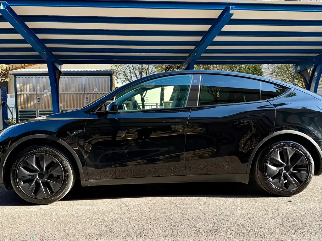 Tesla Model Y 2023 из CN, фото 6