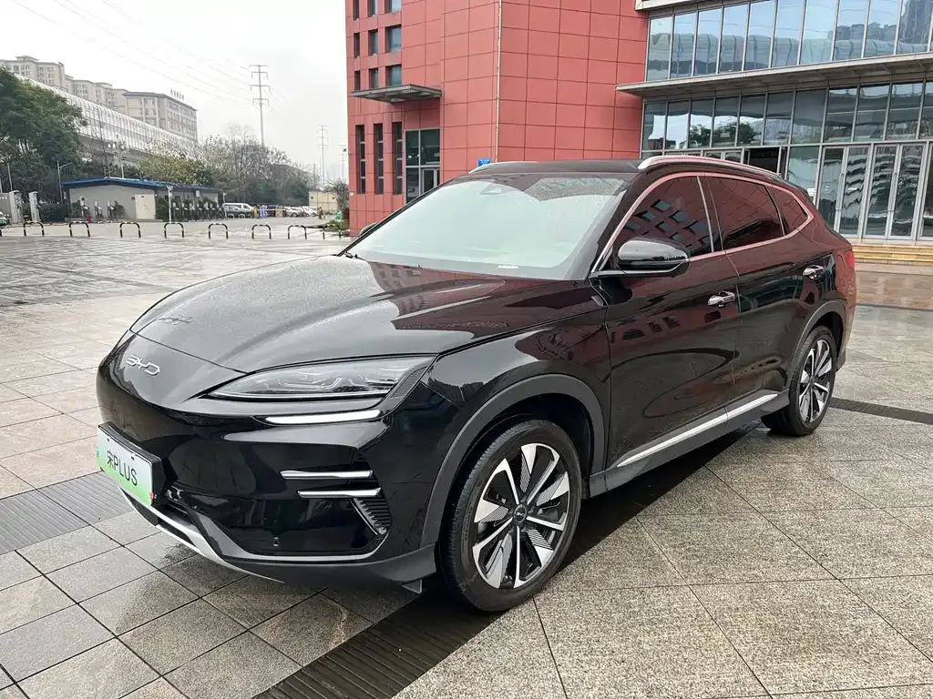 BYD PLUS New Energy 2024 из CN, фото 1
