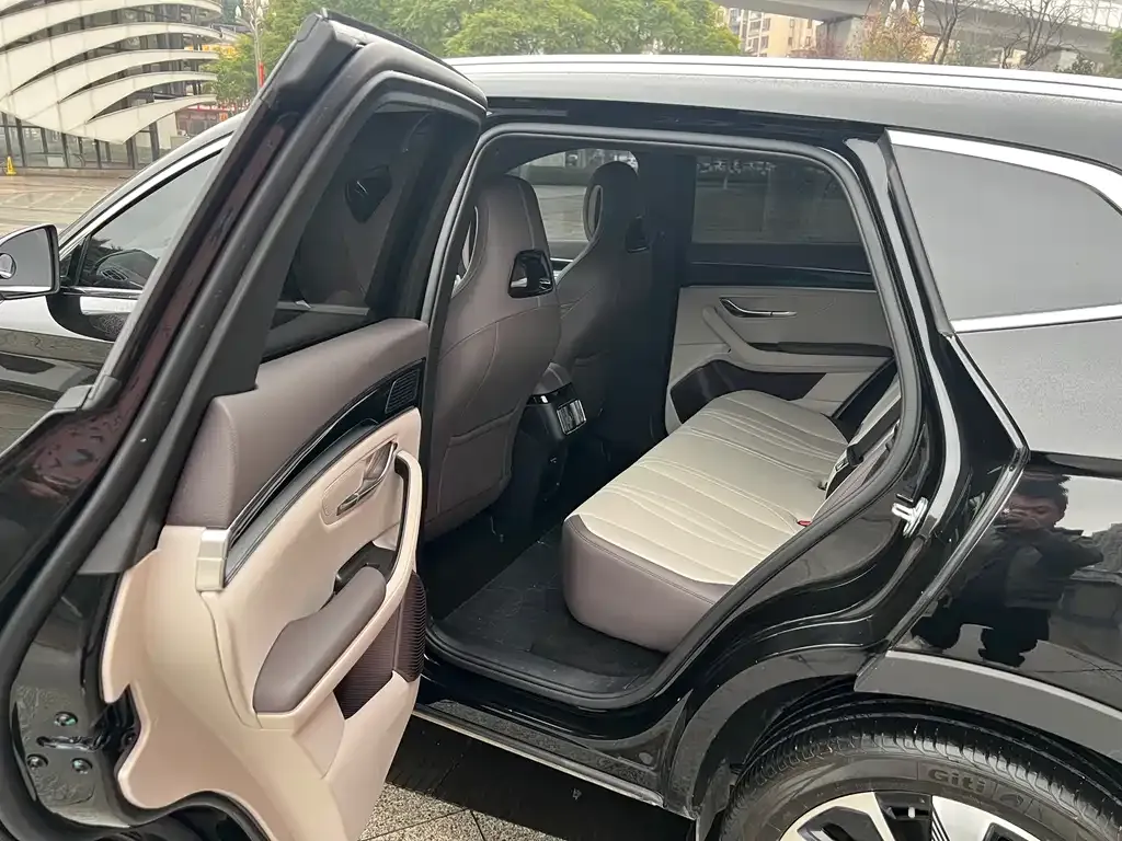 BYD PLUS New Energy 2024 из CN, фото 2