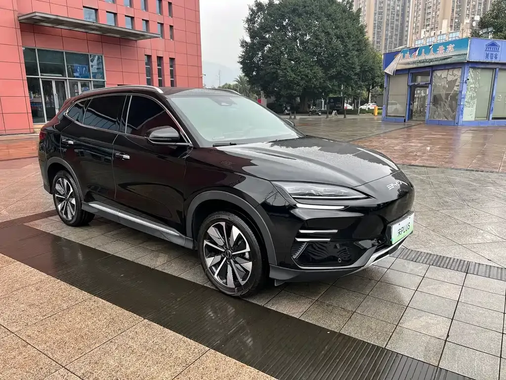 BYD PLUS New Energy 2024 из CN, фото 7
