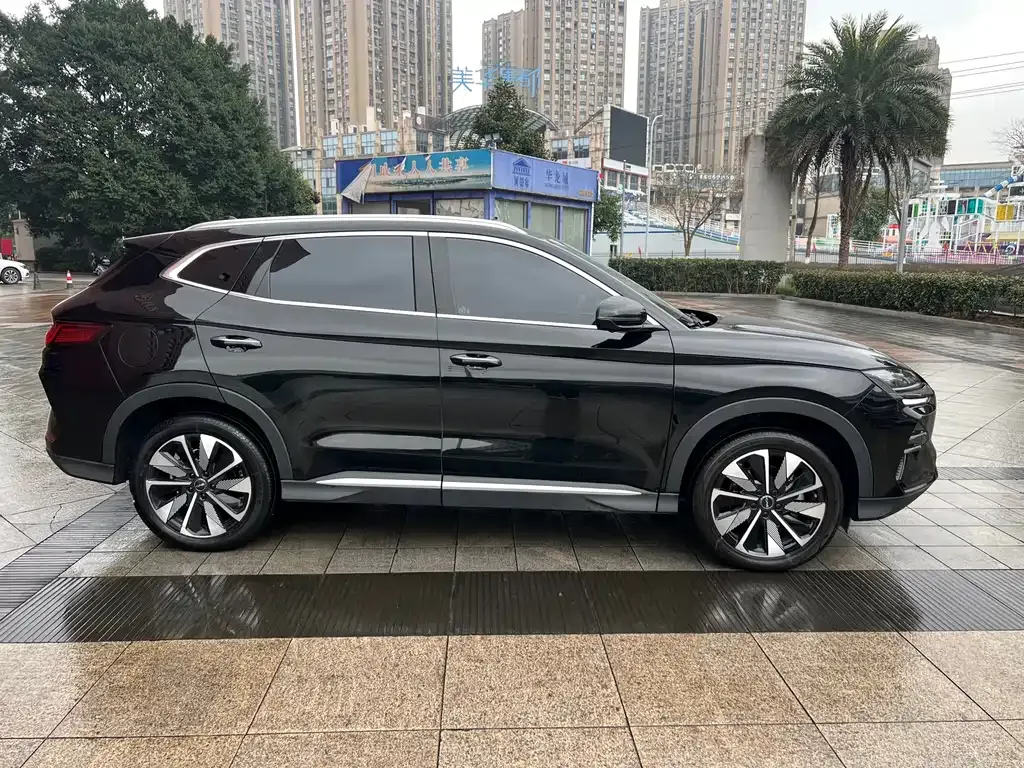 BYD PLUS New Energy 2024 из CN, фото 10