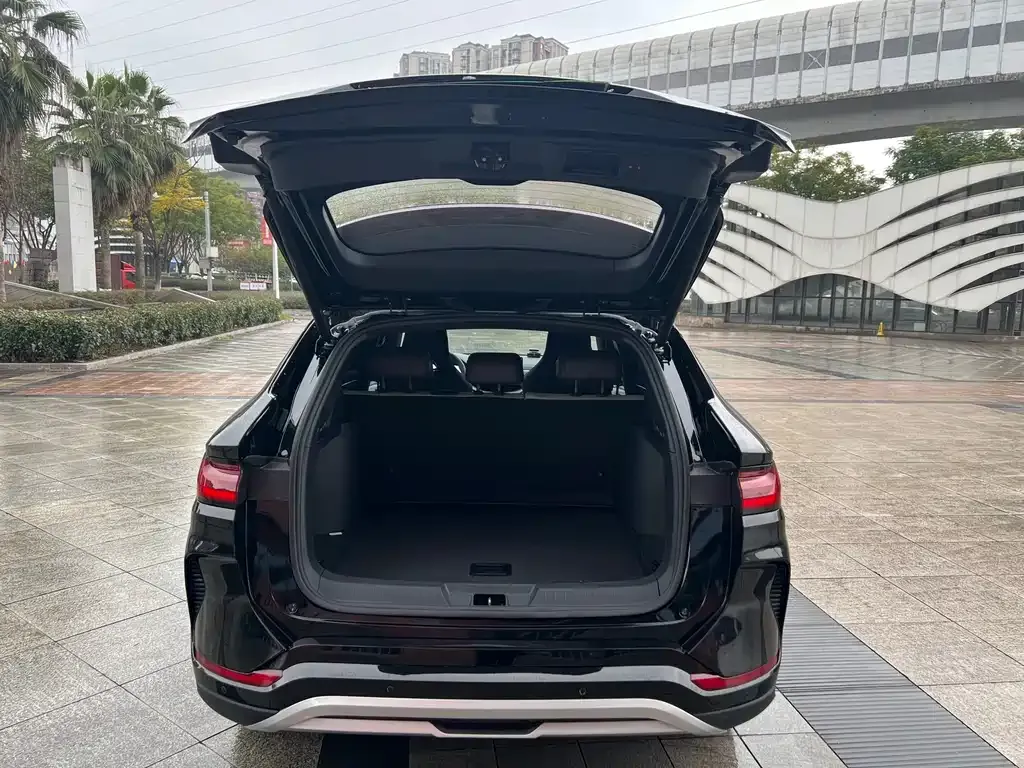 BYD PLUS New Energy 2024 из CN, фото 4