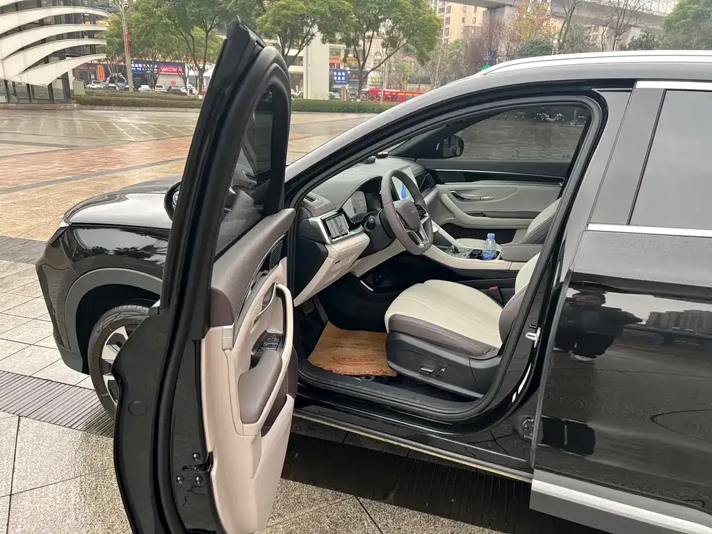 BYD PLUS New Energy 2024 из CN, фото 3
