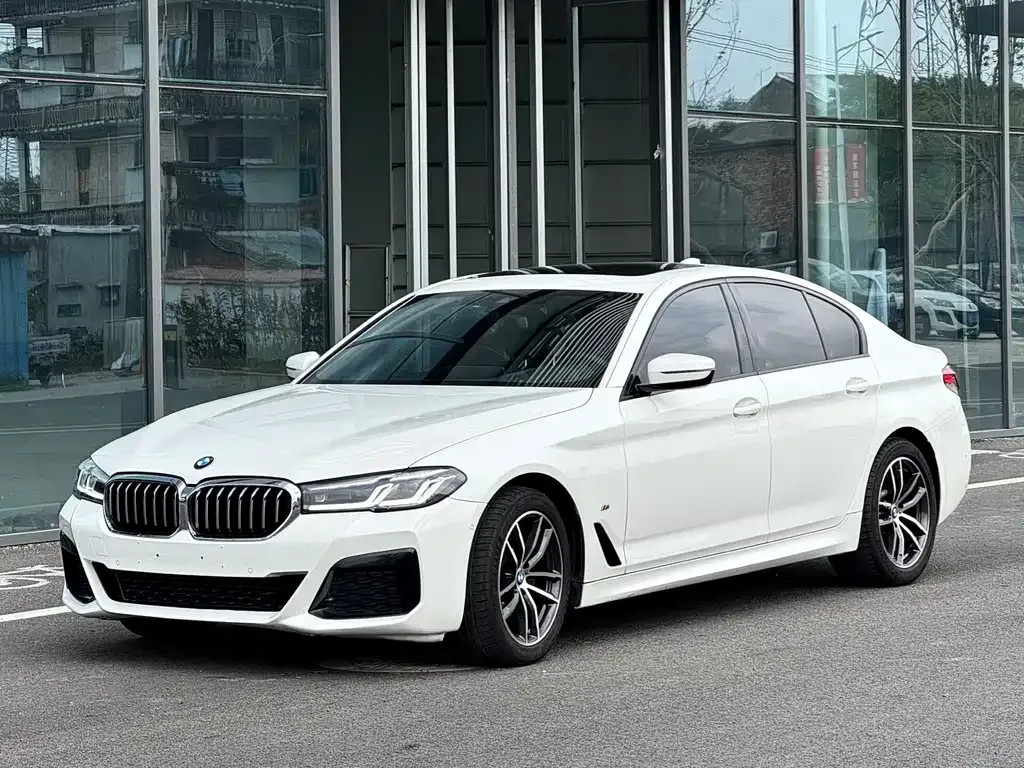 BMW 5 Series (Import) 2021 из CN, фото 1