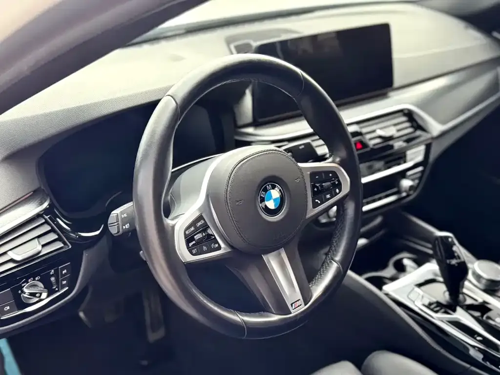 BMW 5 Series (Import) 2021 из CN, фото 2