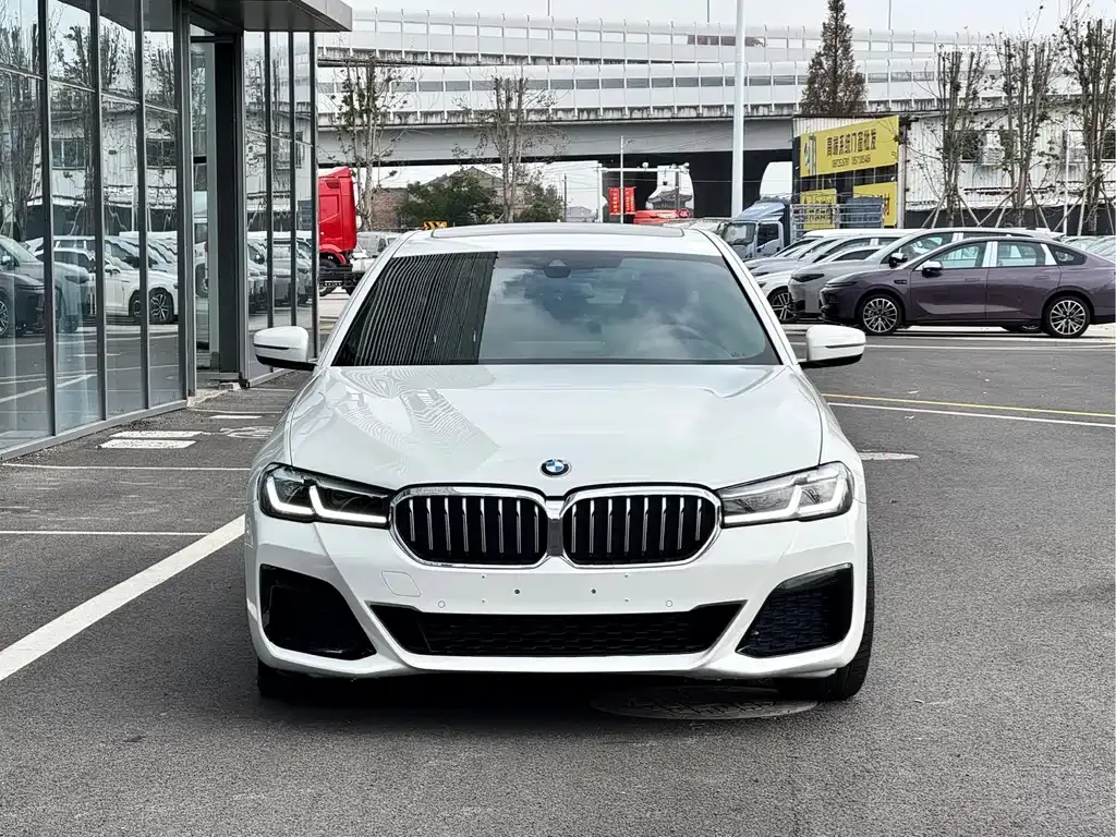 BMW 5 Series (Import) 2021 из CN, фото 5