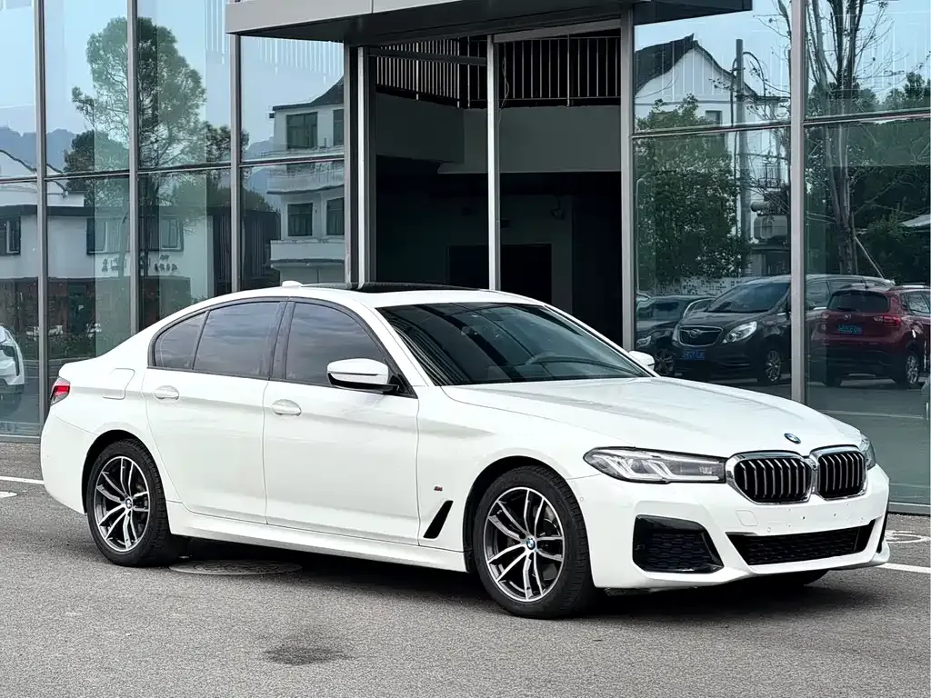 BMW 5 Series (Import) 2021 из CN, фото 8