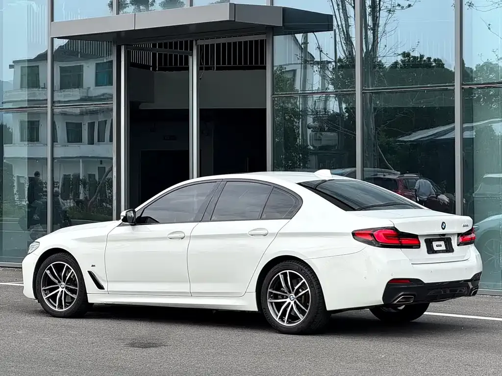 BMW 5 Series (Import) 2021 из CN, фото 3