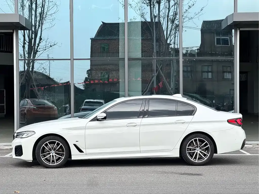 BMW 5 Series (Import) 2021 из CN, фото 7