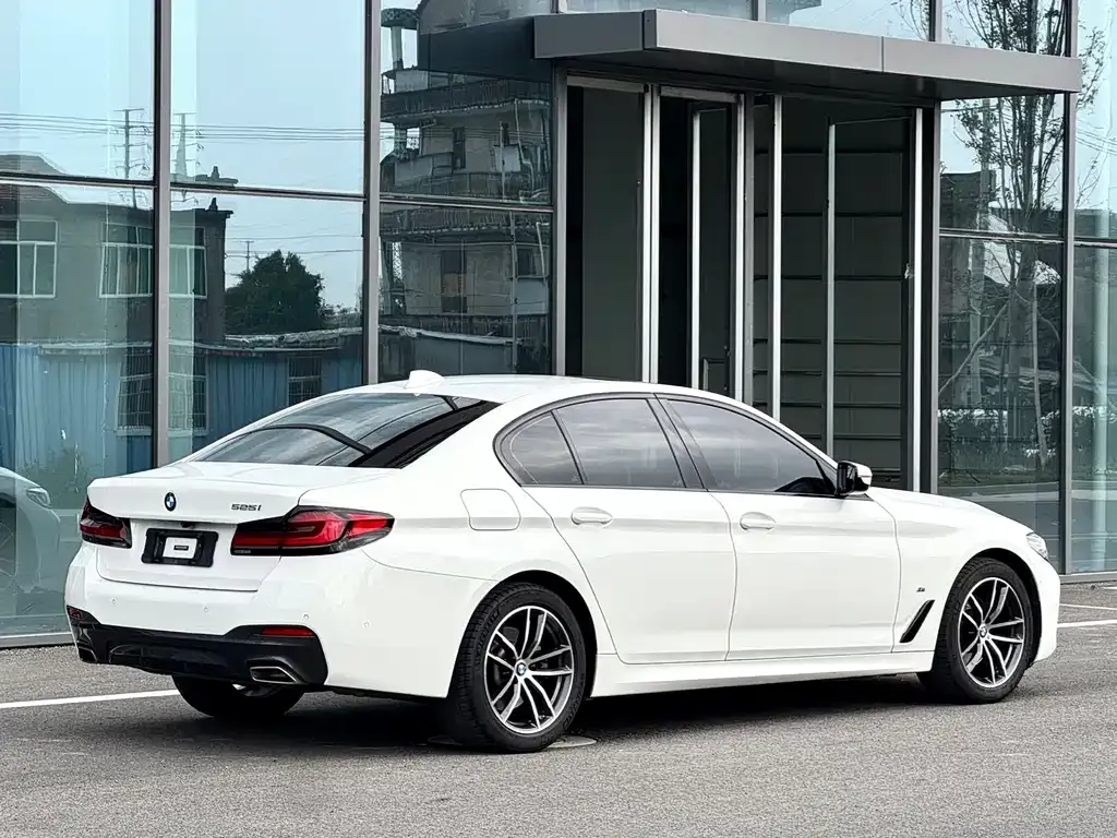 BMW 5 Series (Import) 2021 из CN, фото 10