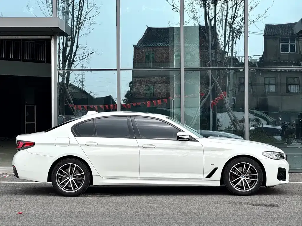 BMW 5 Series (Import) 2021 из CN, фото 4