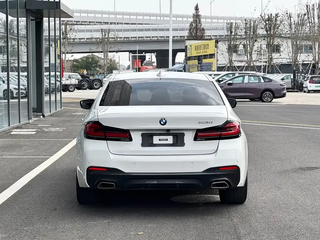 BMW 5 Series (Import) 2021 из CN, фото 6
