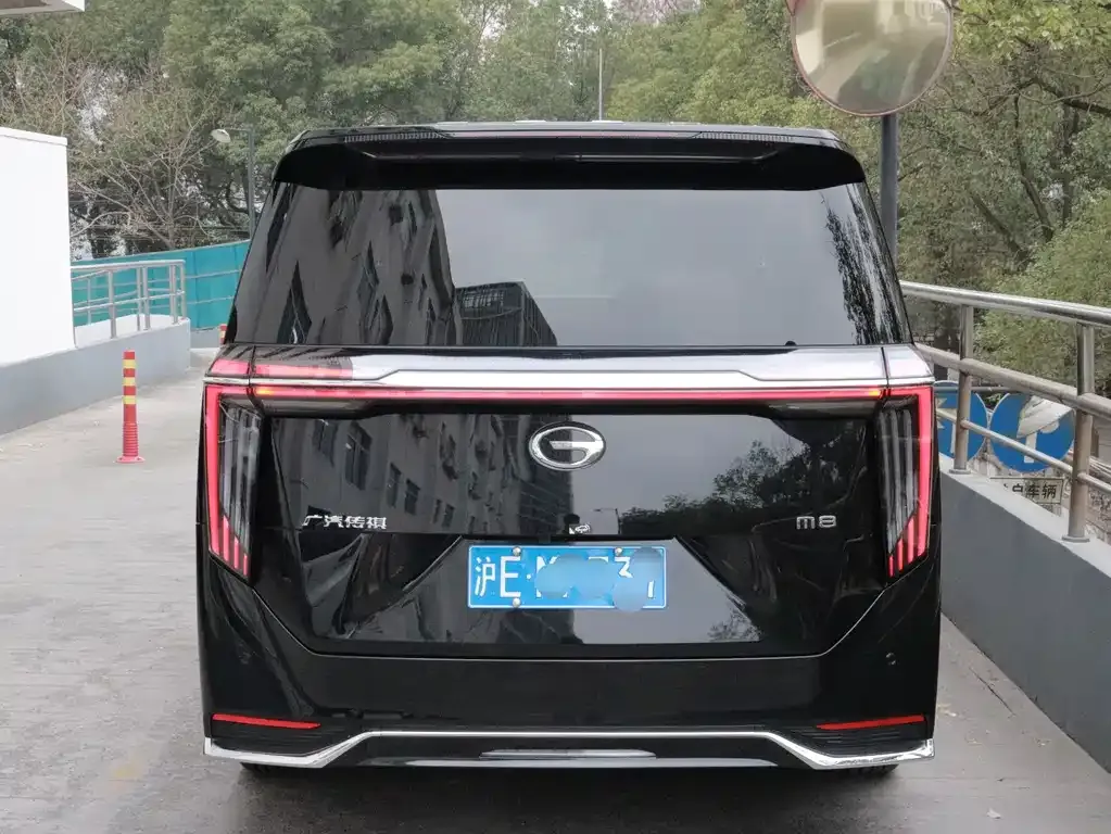 GAC Motor Trumpchi M8 2024 из CN, фото 6