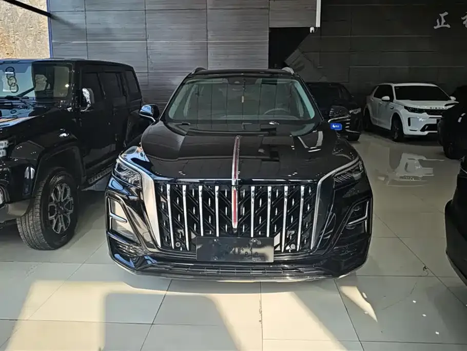 Hongqi HS5 2023 из CN, фото 8