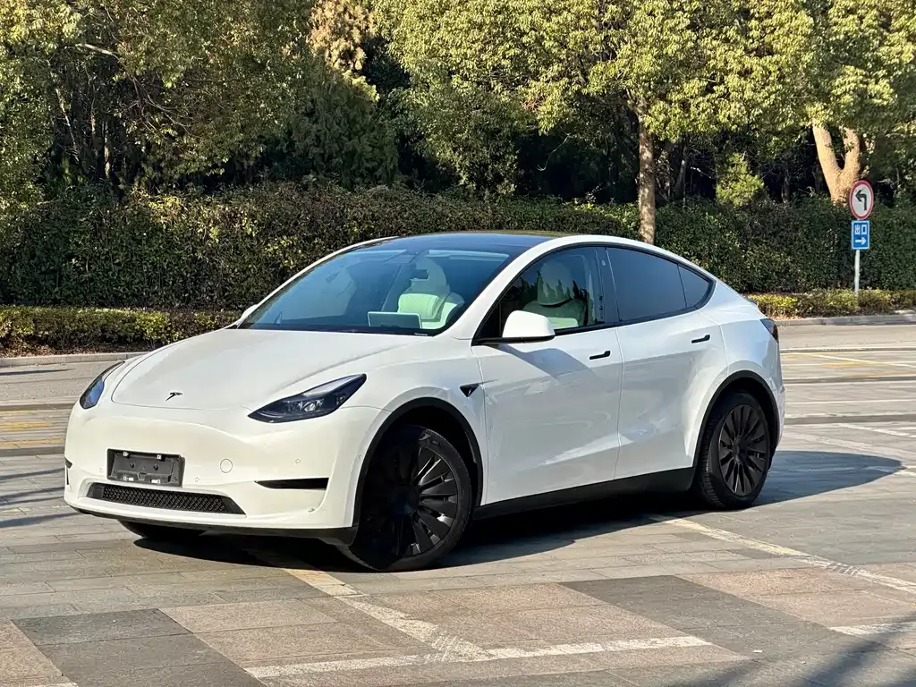 Tesla Model Y 2023 из CN, фото 1