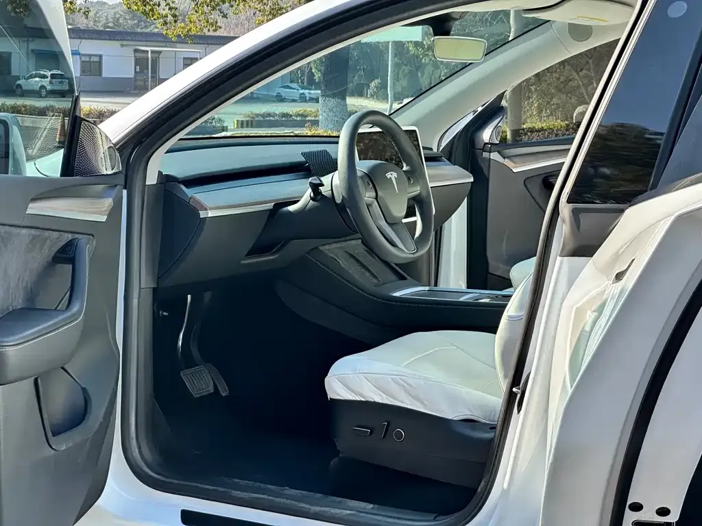 Tesla Model Y 2023 из CN, фото 4