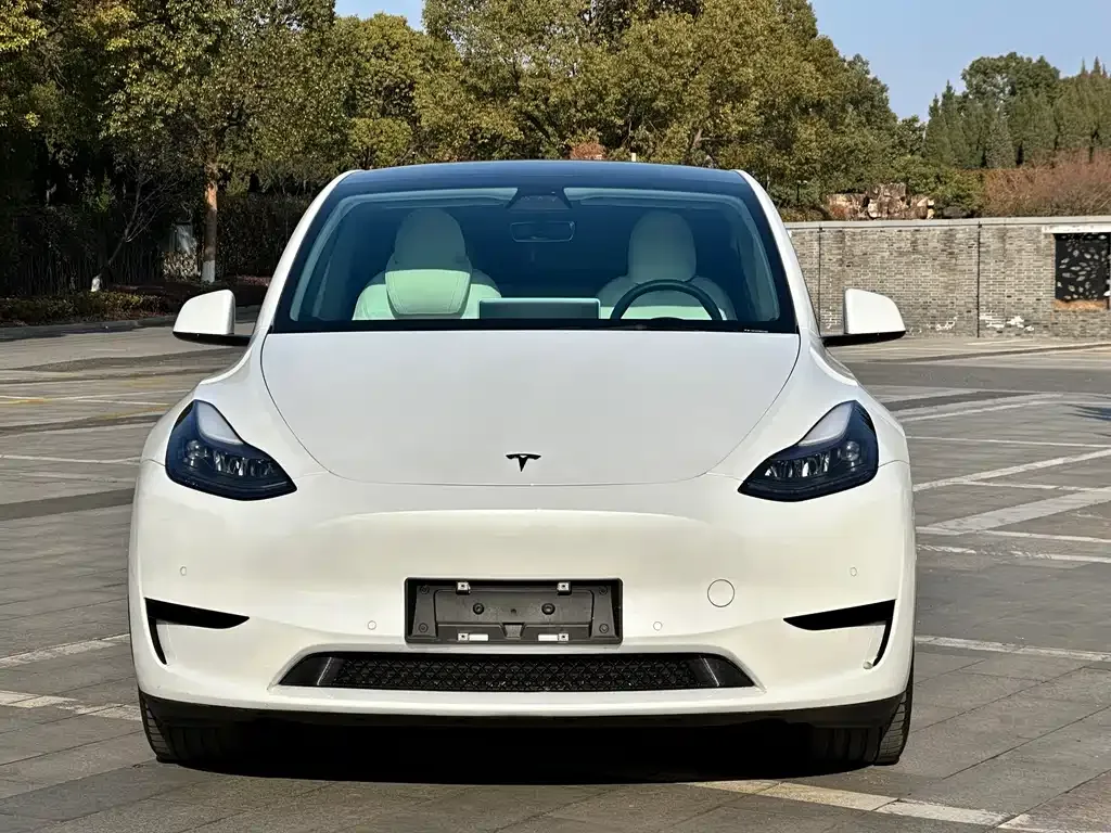 Tesla Model Y 2023 из CN, фото 6