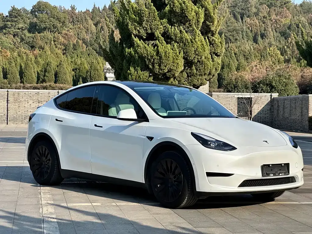 Tesla Model Y 2023 из CN, фото 8