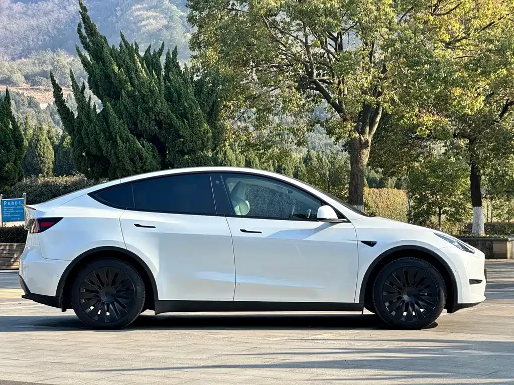 Tesla Model Y 2023 из CN, фото 9