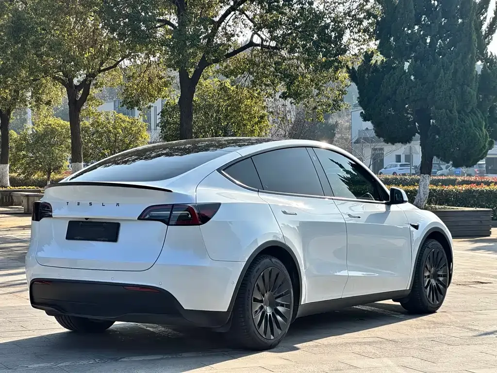 Tesla Model Y 2023 из CN, фото 5