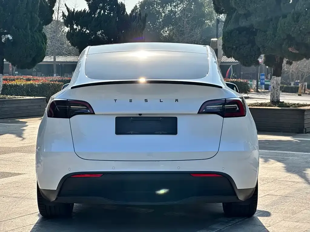 Tesla Model Y 2023 из CN, фото 2