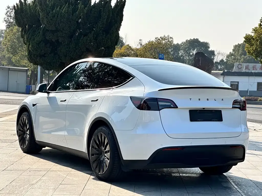Tesla Model Y 2023 из CN, фото 3