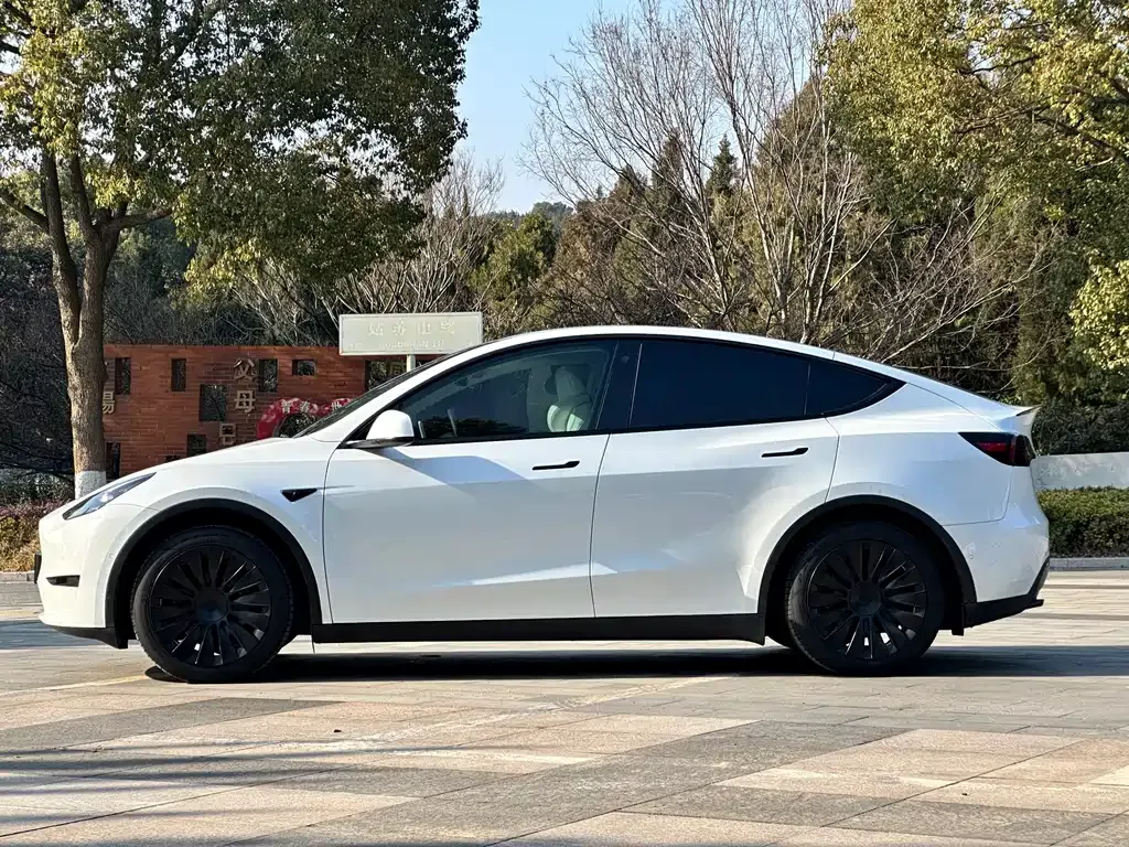 Tesla Model Y 2023 из CN, фото 10