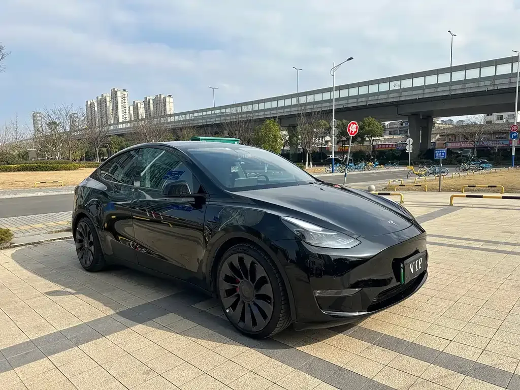 Tesla Model Y — фото 10