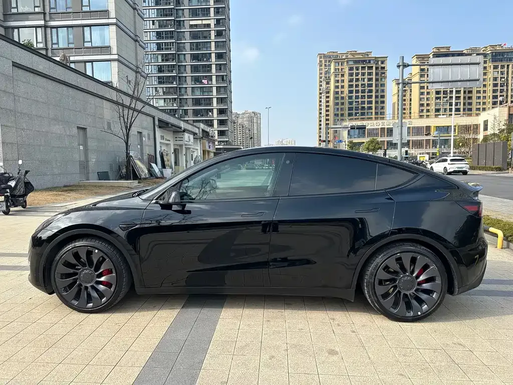 Tesla Model Y — фото 6