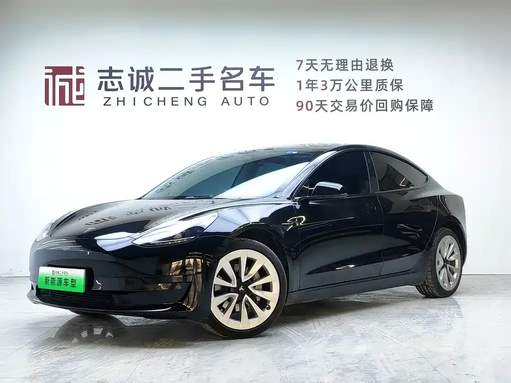 Tesla Model 3 2021 из CN, фото 1