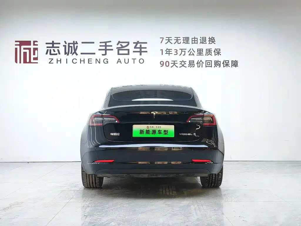 Tesla Model 3 2021 из CN, фото 4